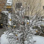 Filoxenia Apartment