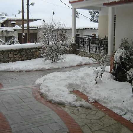 Filoxenia Levídhion