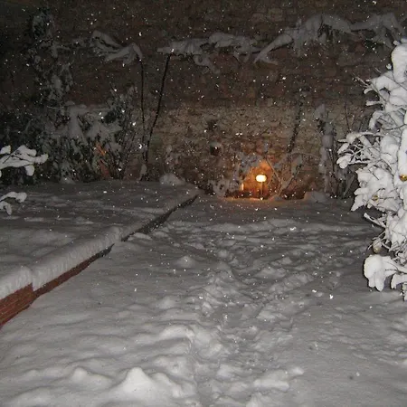 Filoxenia