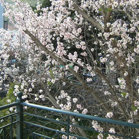 Filoxenia * Levídhion