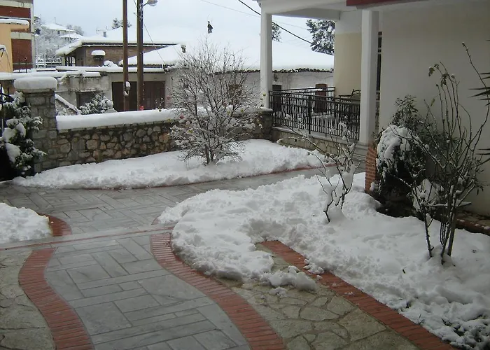 Filoxenia Levídhion