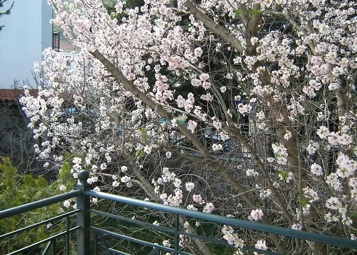 Filoxenia * Levídhion